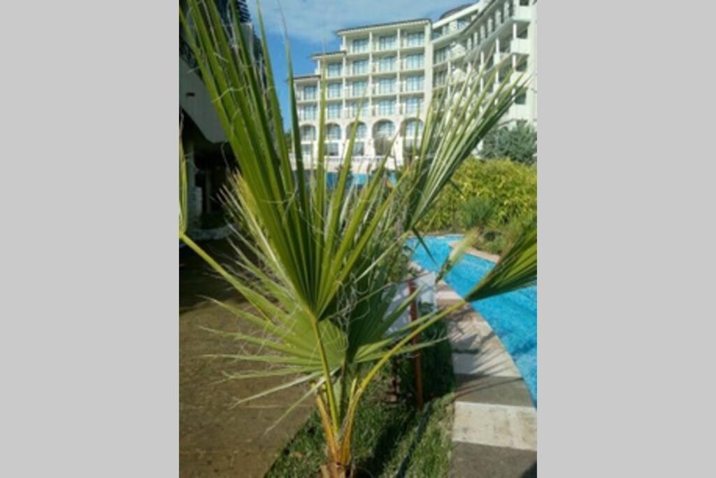 Studio At "The Cliff" Complex South Beach Obzor, Private Appartment A2A5 المظهر الخارجي الصورة